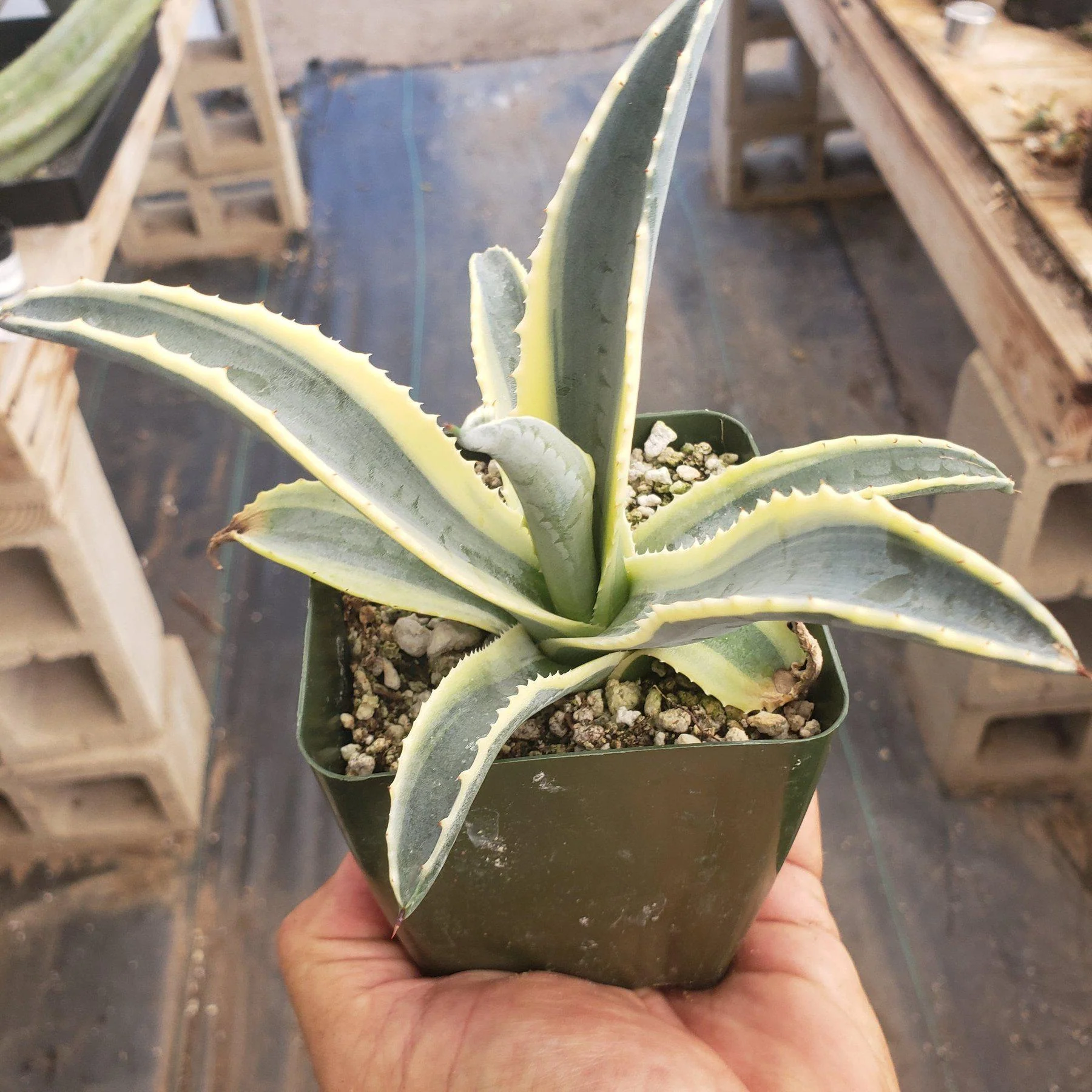 Product image 20