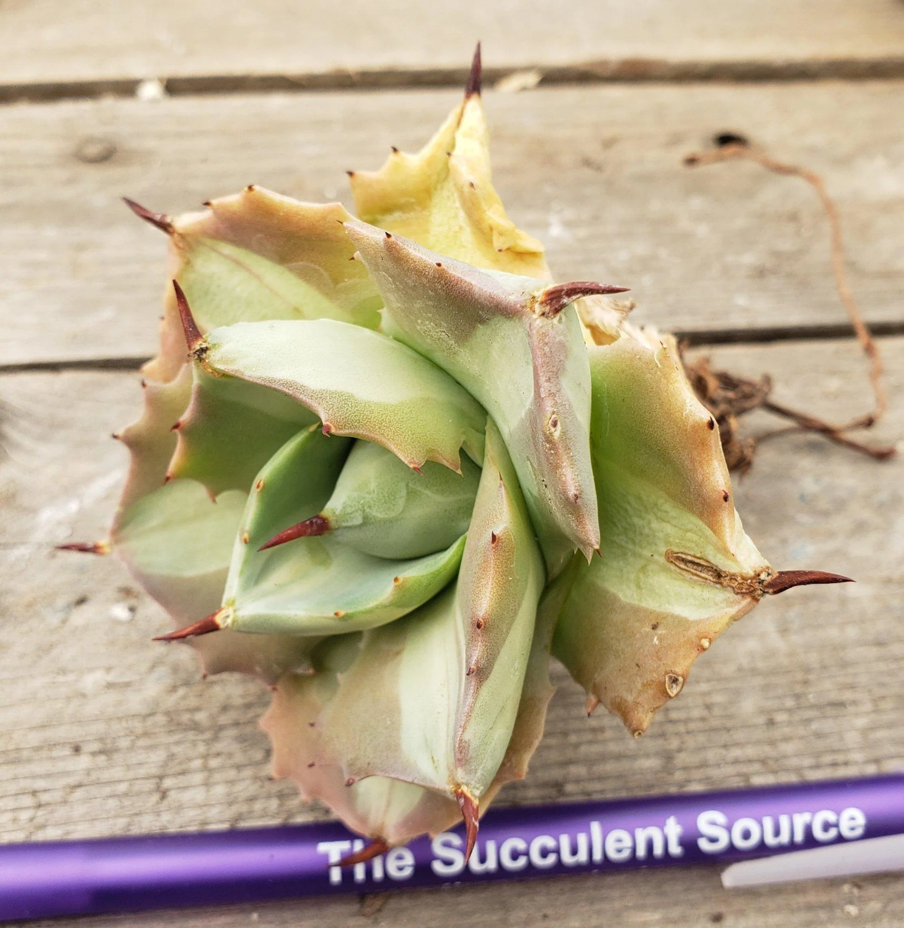 Product image 27