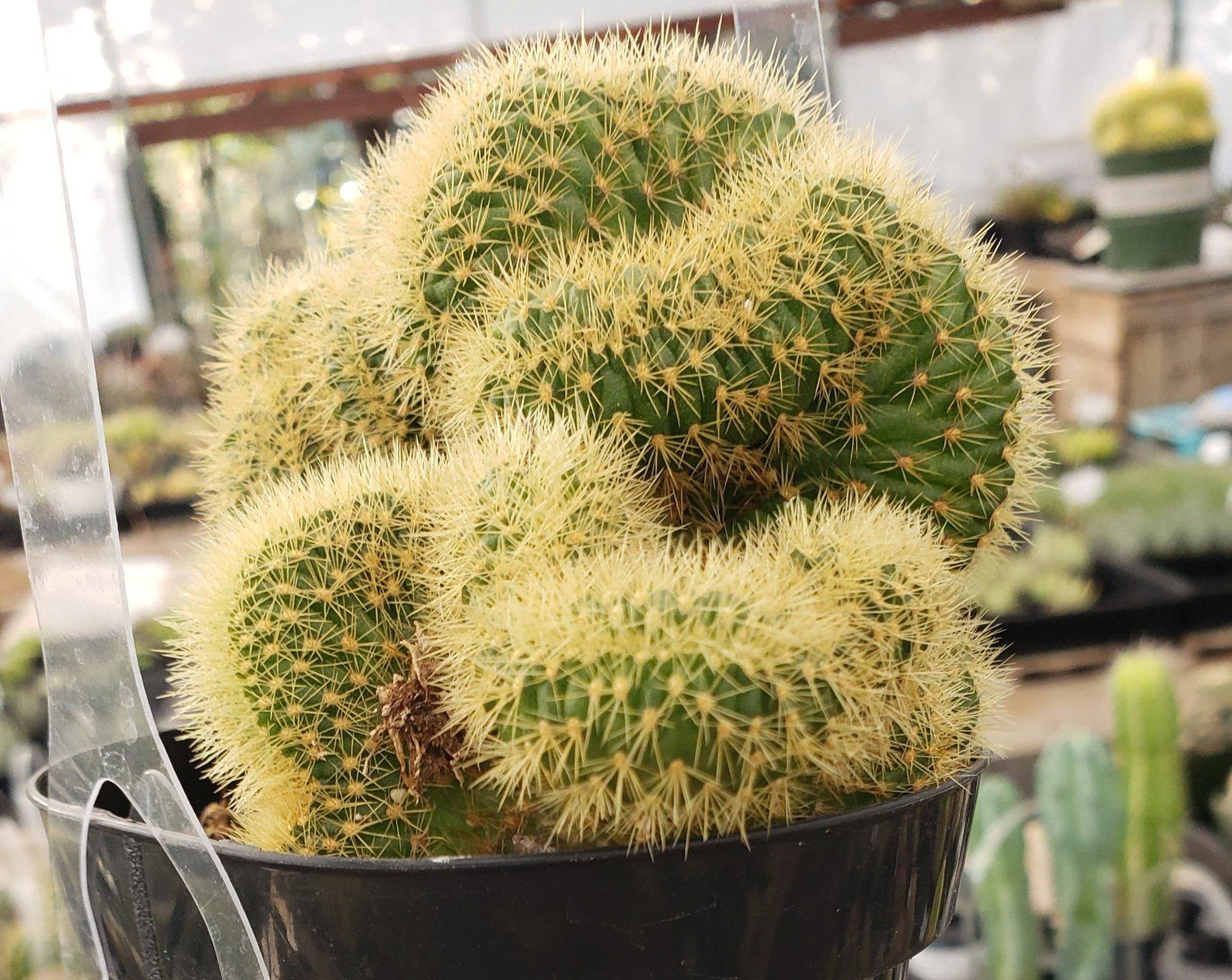 Product image 32