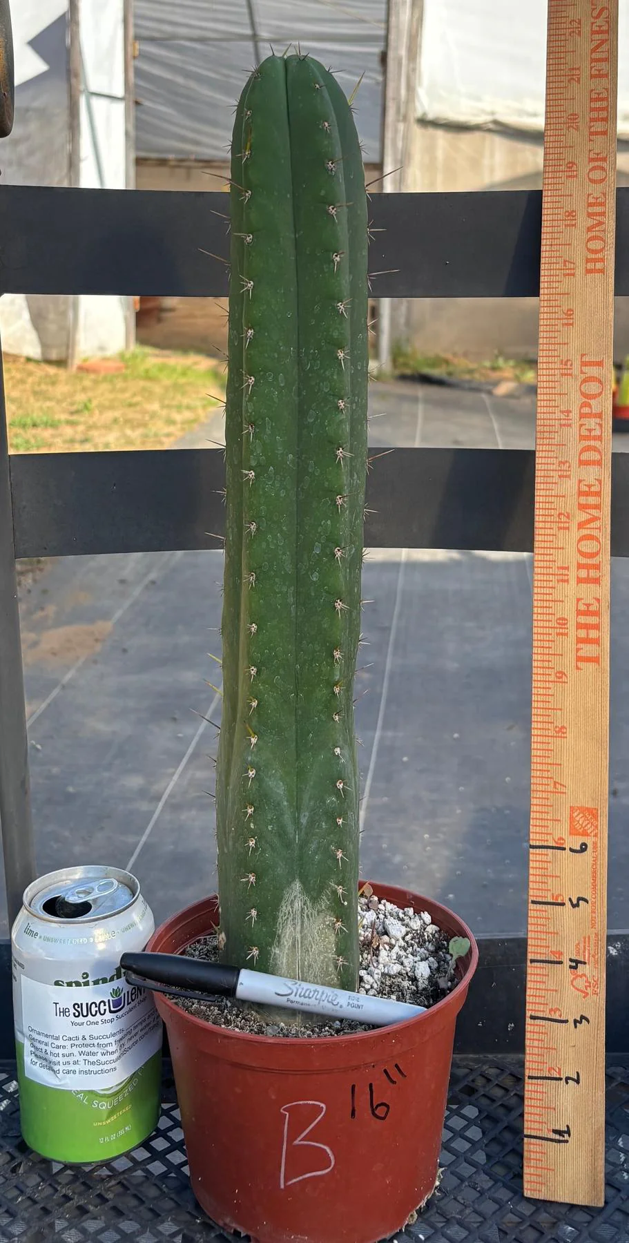 Product image 19