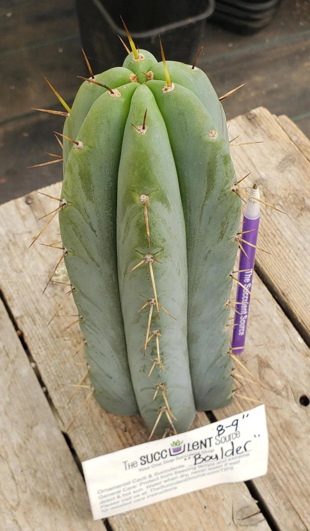 Product image 9
