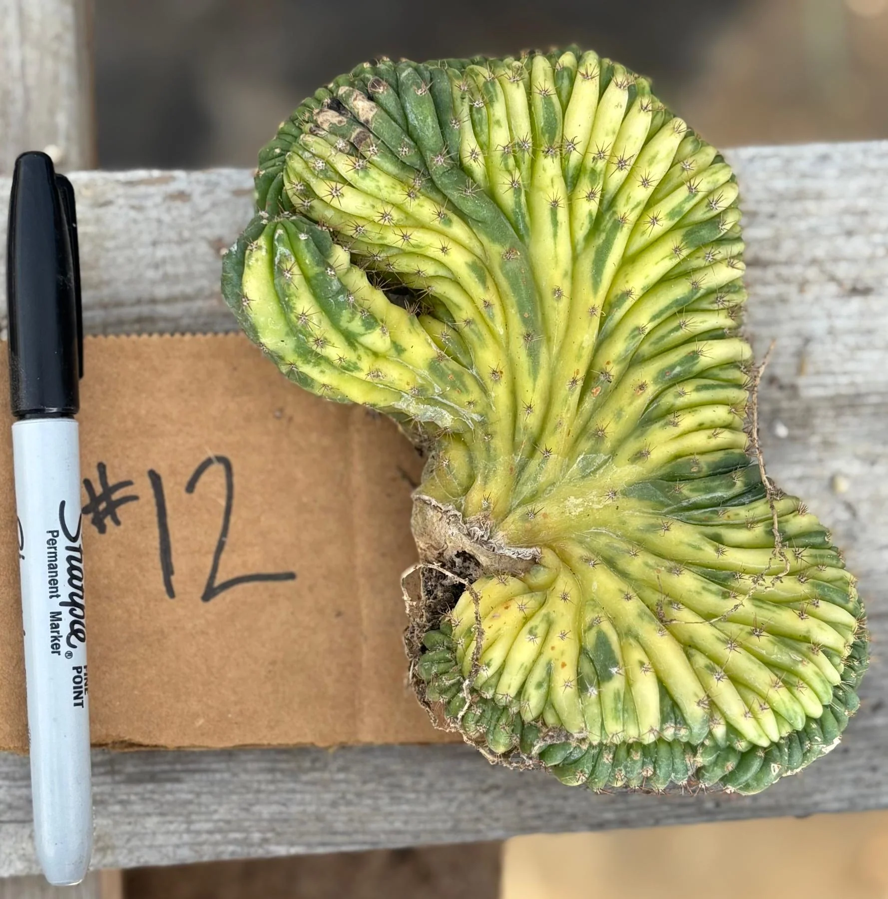 Product image 27