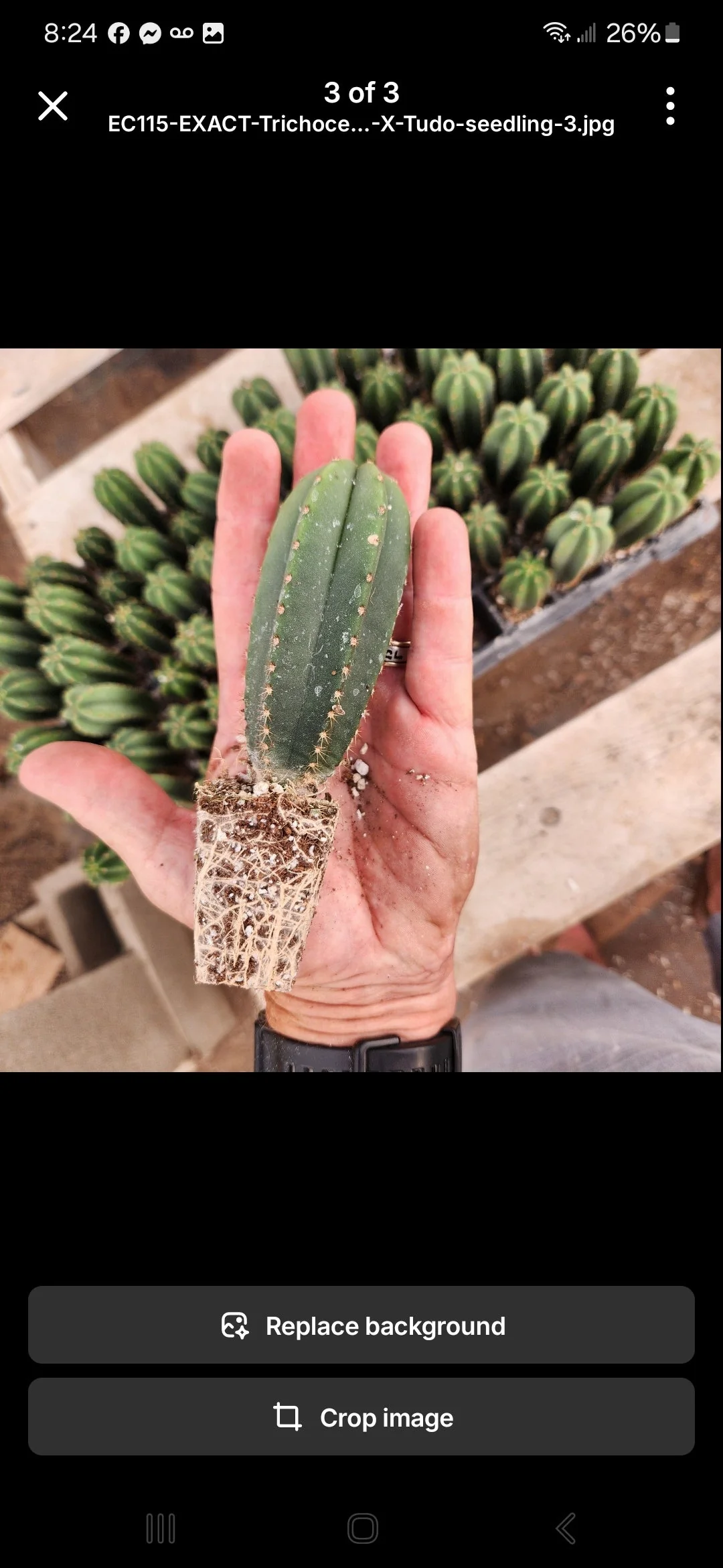 Product image 13
