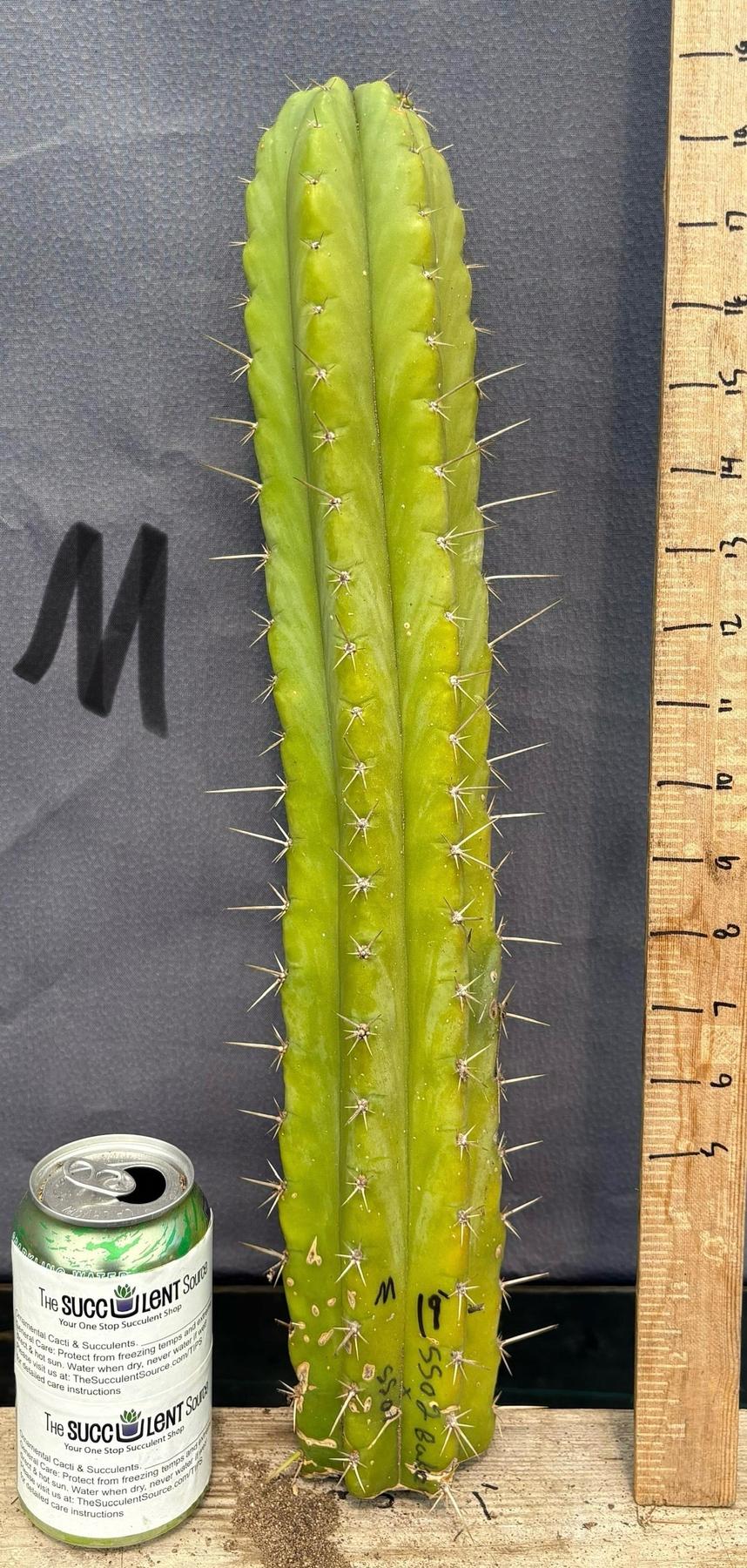 Product image 59
