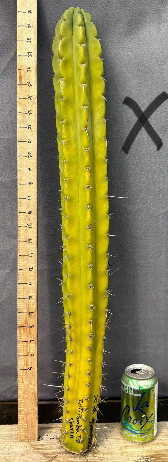 Product image 84