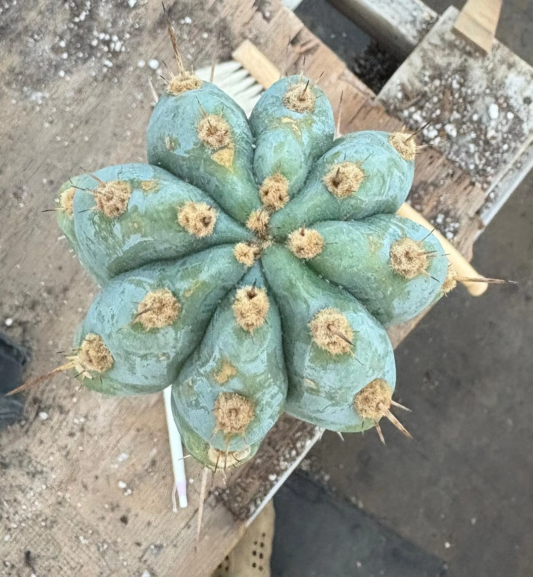 Product image 3